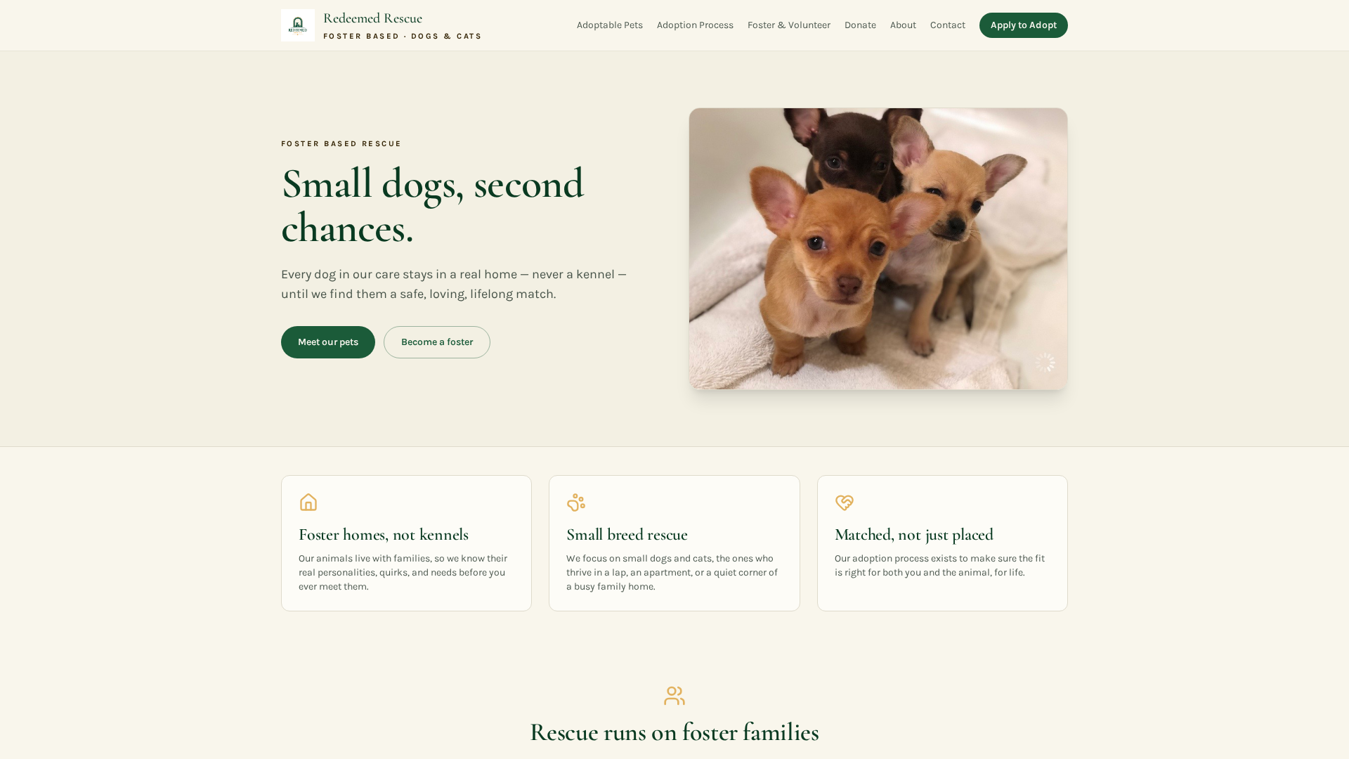 Our Adoption Process — Redeemed Rescue