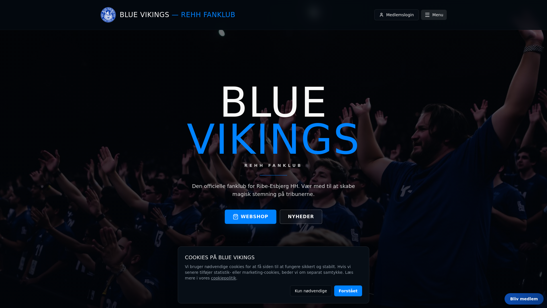 Blue Vikings - REHH Fanklub logo