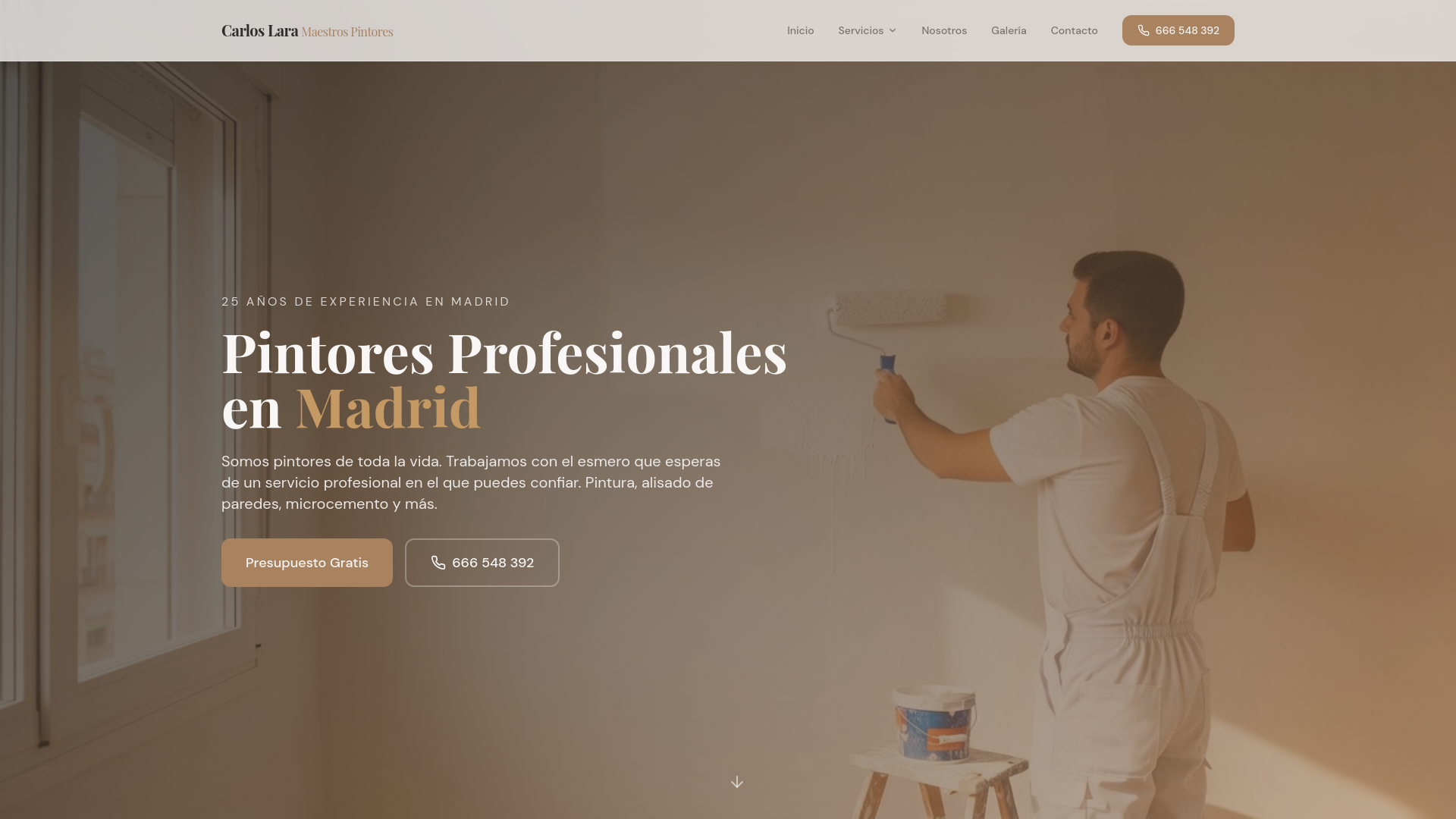 Carlos Lara | Maestro Pintor, pintores en Madrid