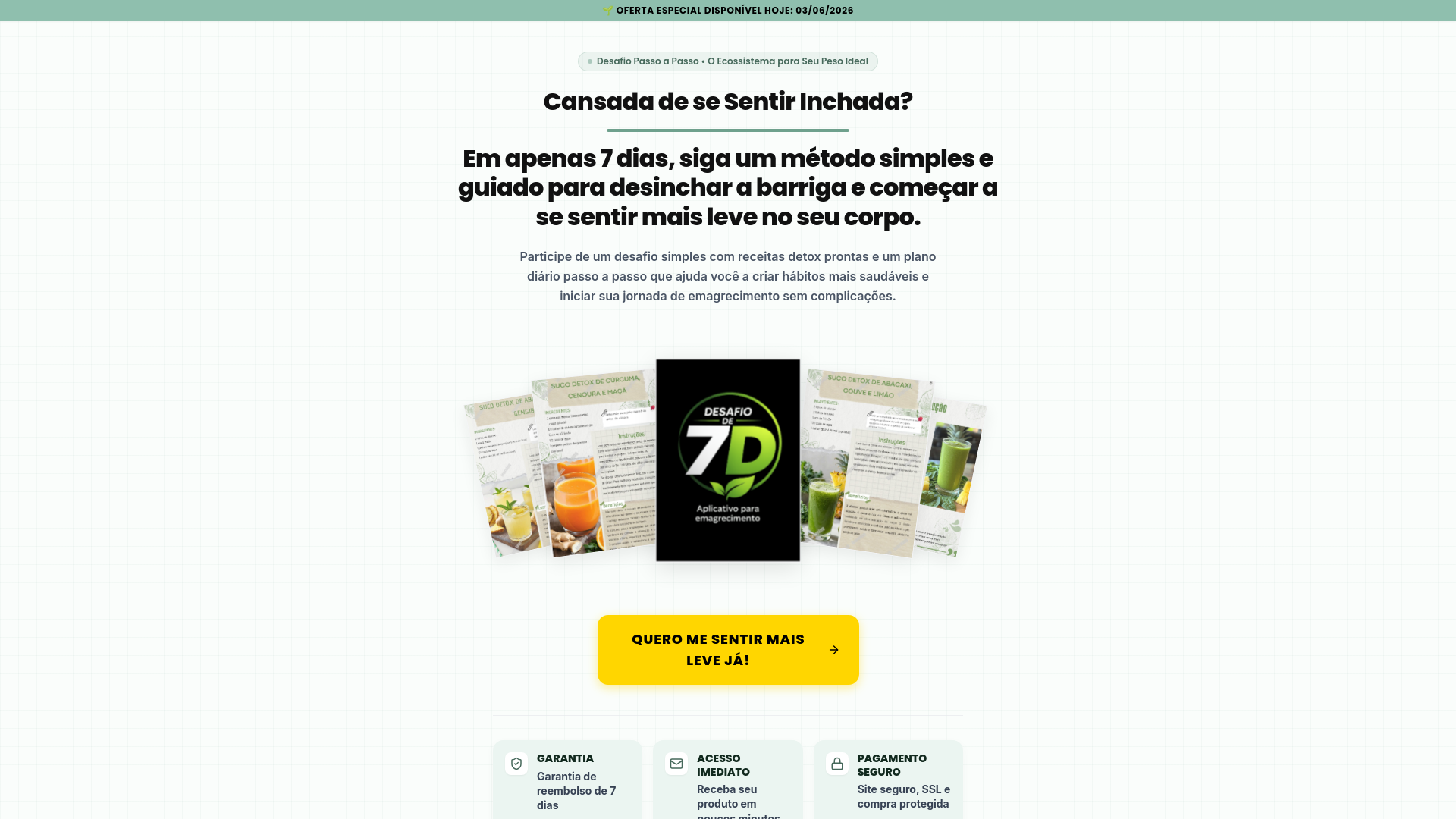 Desafio de 7 Dias + Guia de Sucos Detox mais...