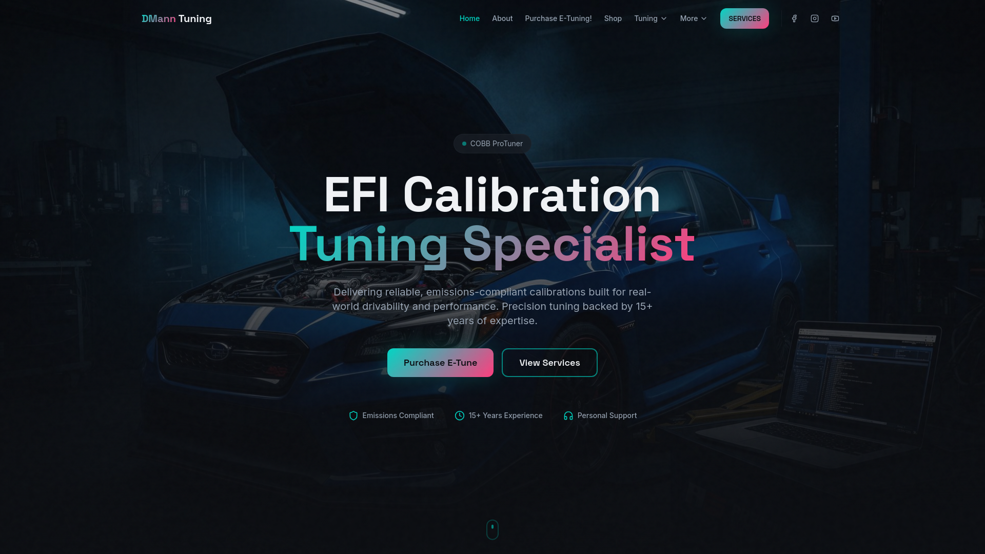 Dmann DMann Tuning | Professional EFI Calibration & E-Tuning Services