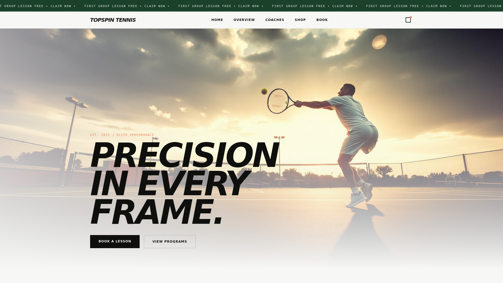 Topspin Tennis LLC logo