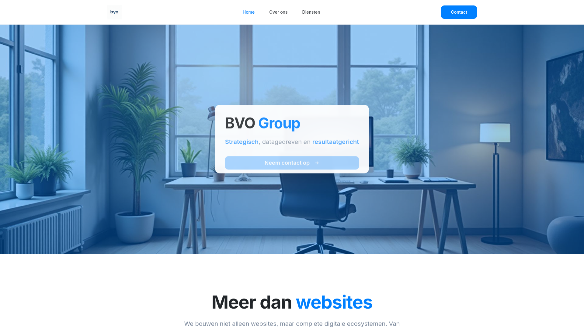 Bvo Go BVO Group — Marketing & E-commerce