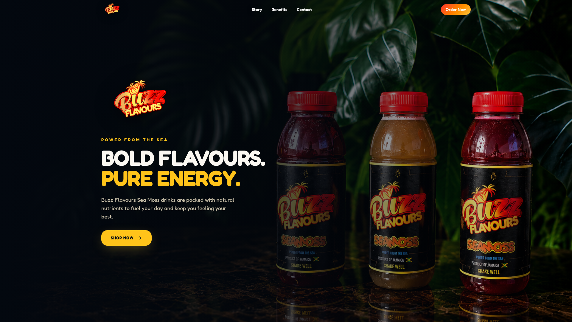 Buzz Flavours | Power From The Sea