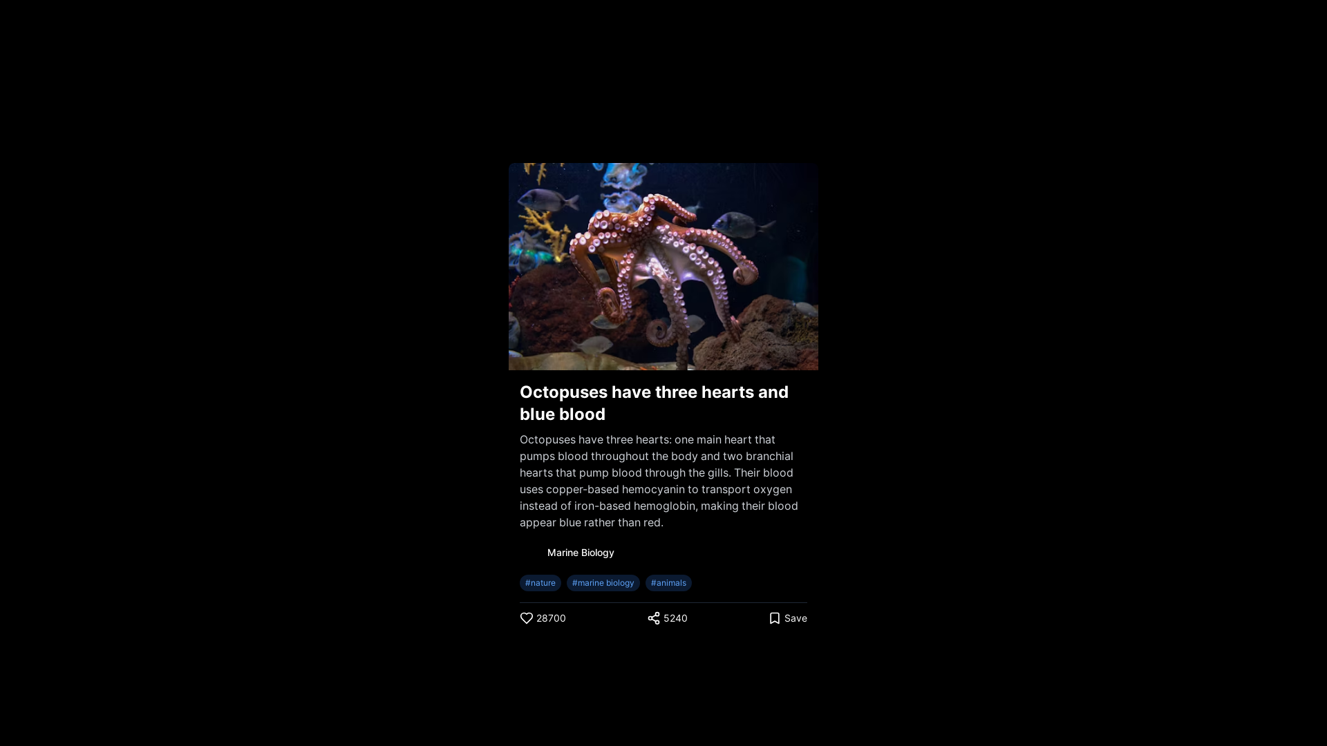 Community Reels & Short-form Video Platform