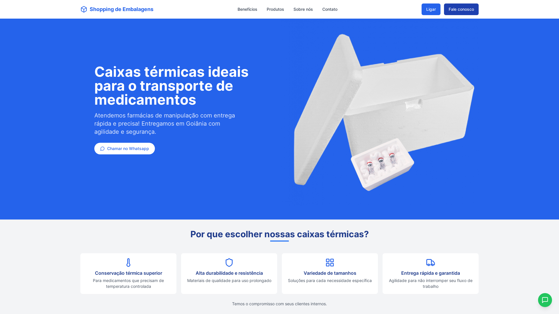 caixas-t-rmicas-ideais-para-o-transporte-shopping-de-embalagens