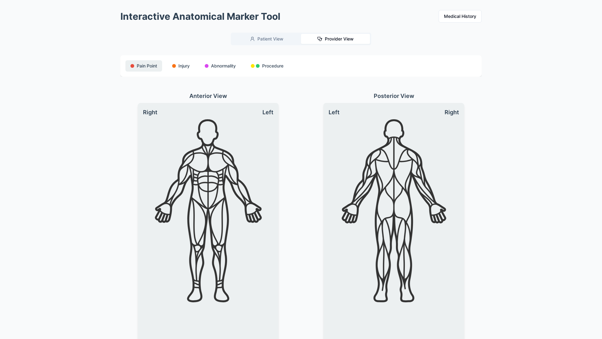 Professional Interactive Anatomical Viewer Platform