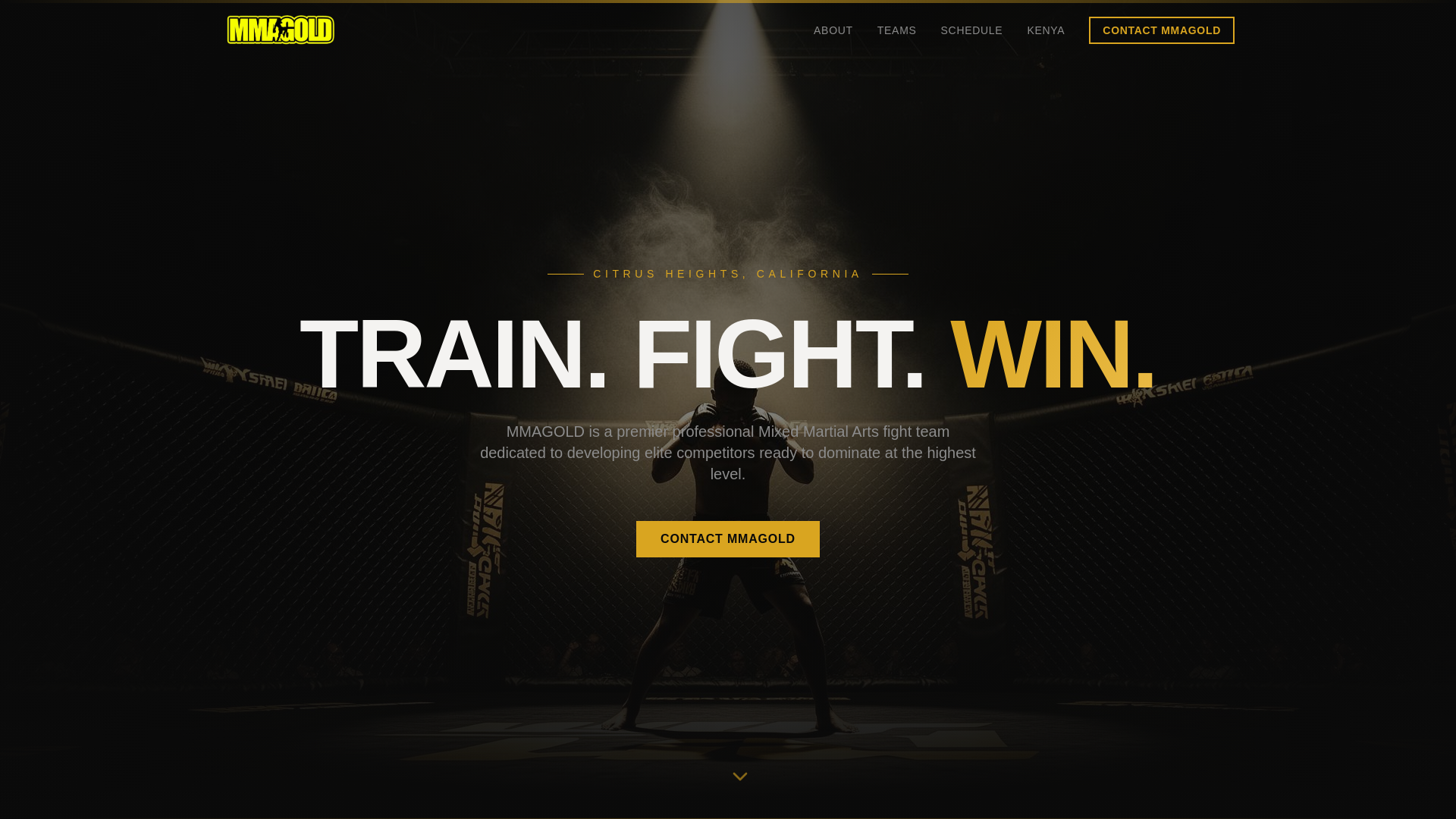 MMA Gold Fight Team