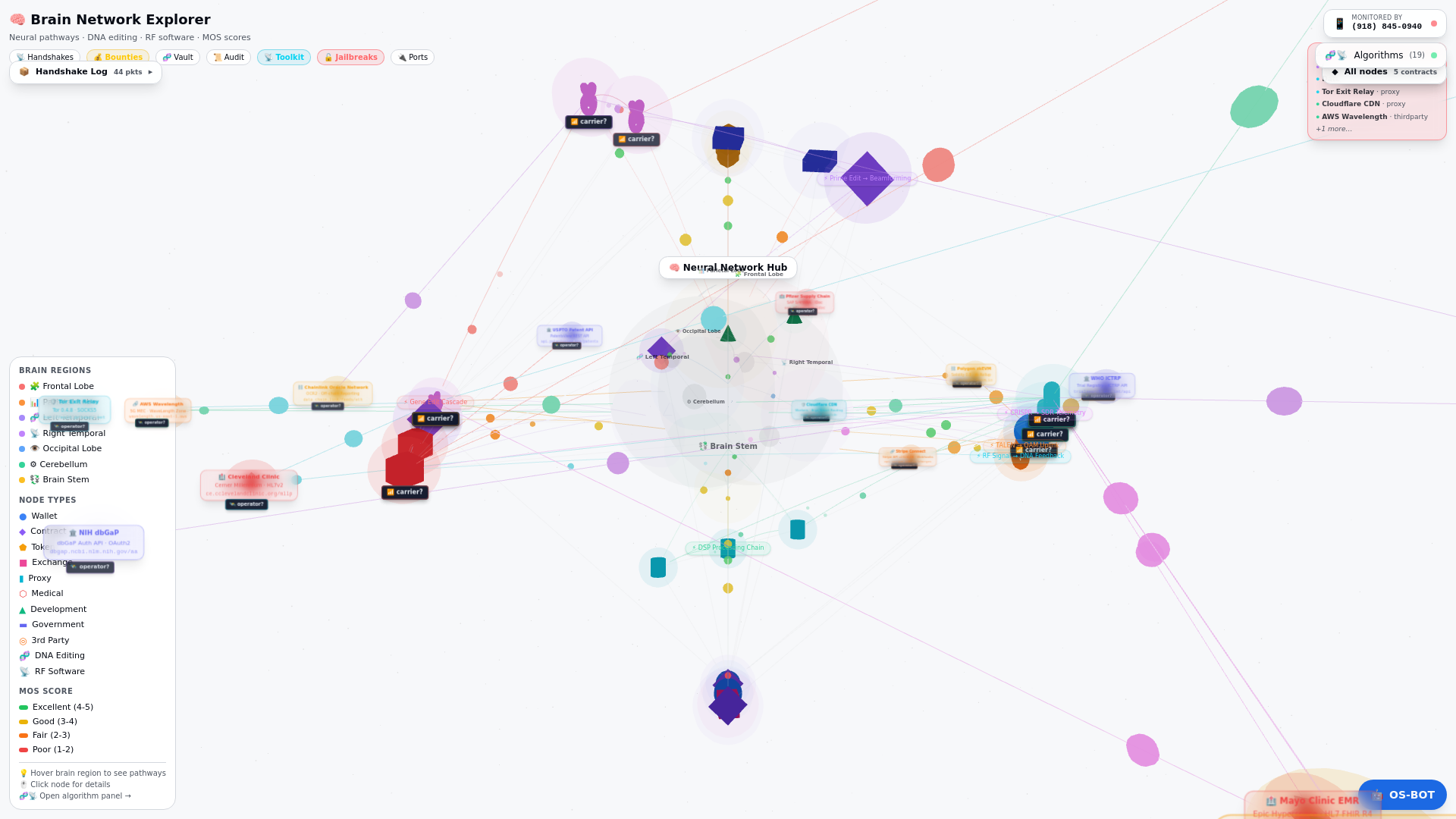 Rf Visualization Brain Network Explorer | Medical DNA & RF Visualization