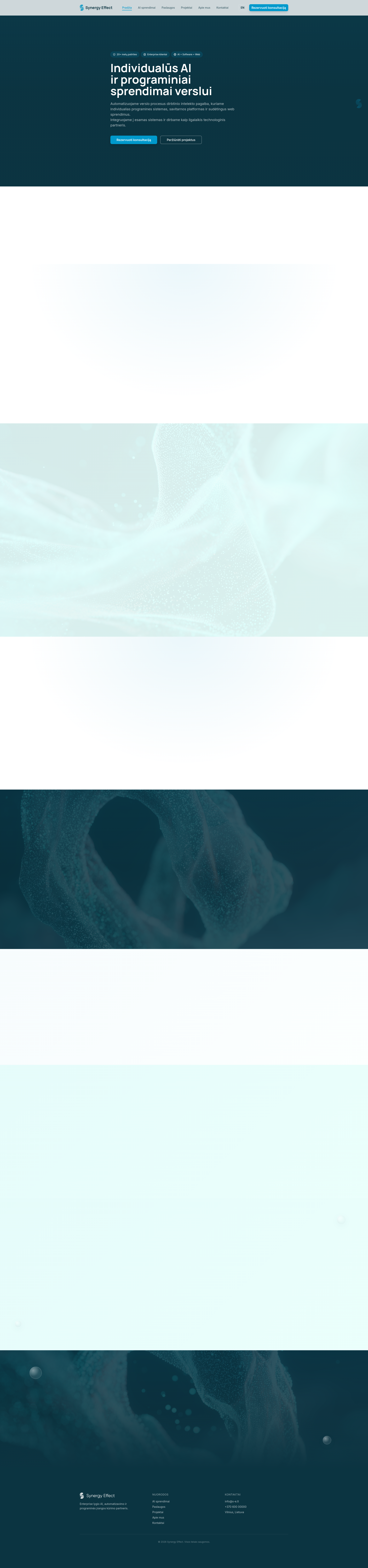 Synergy Effect website preview