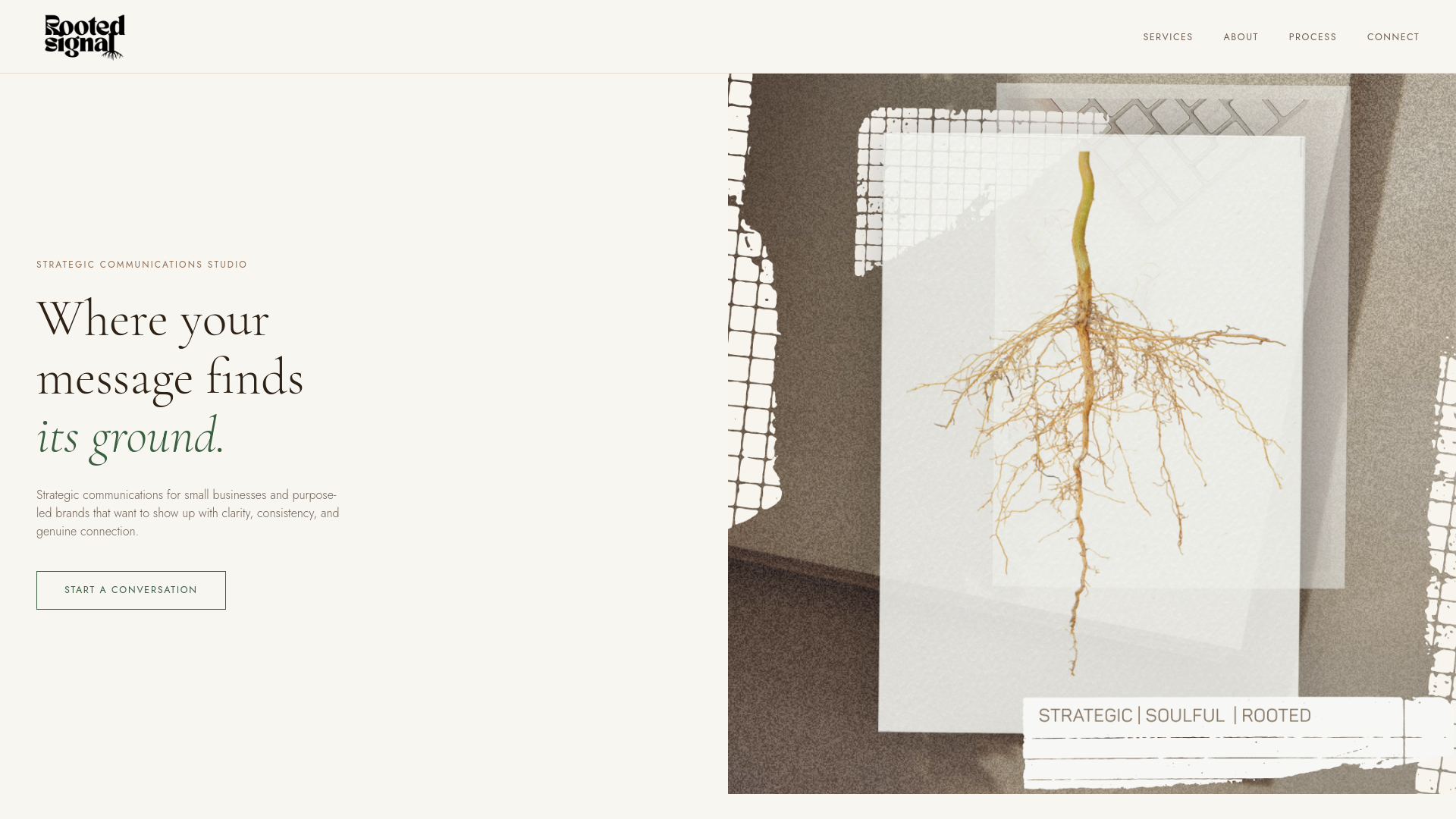 Rooted Strategically Rooted Signal — Strategic Communications Studio