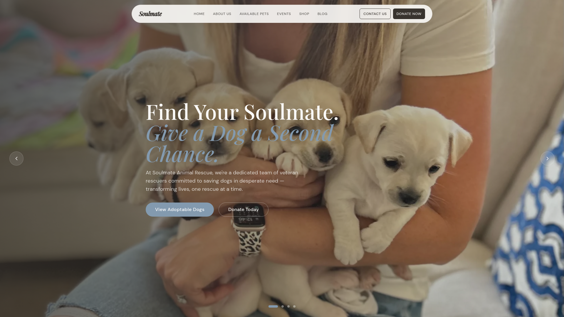 Soulmate Animal Rescue