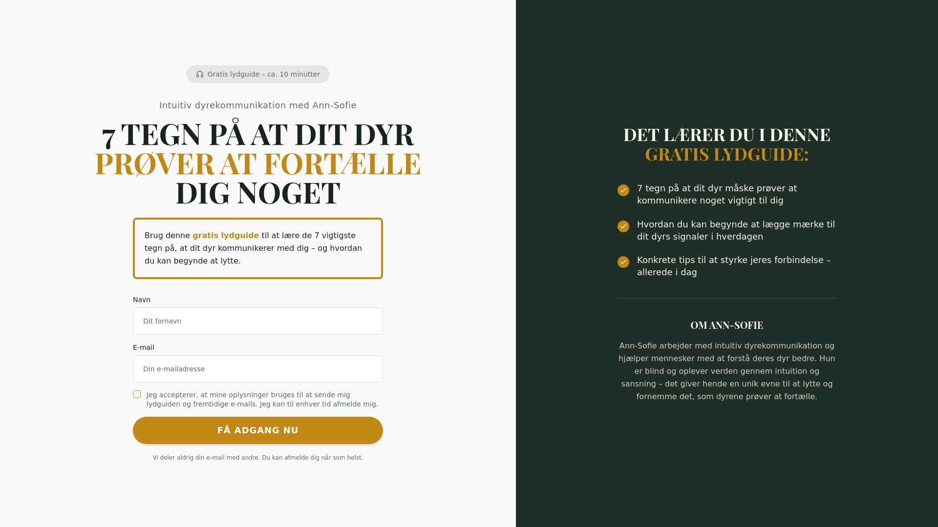 Det indre blik logo