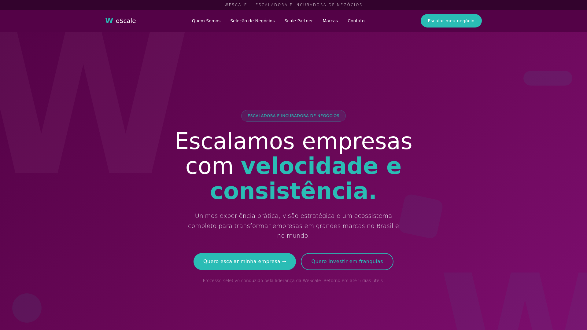 WeScale — Escaladora e Incubadora de Negócios