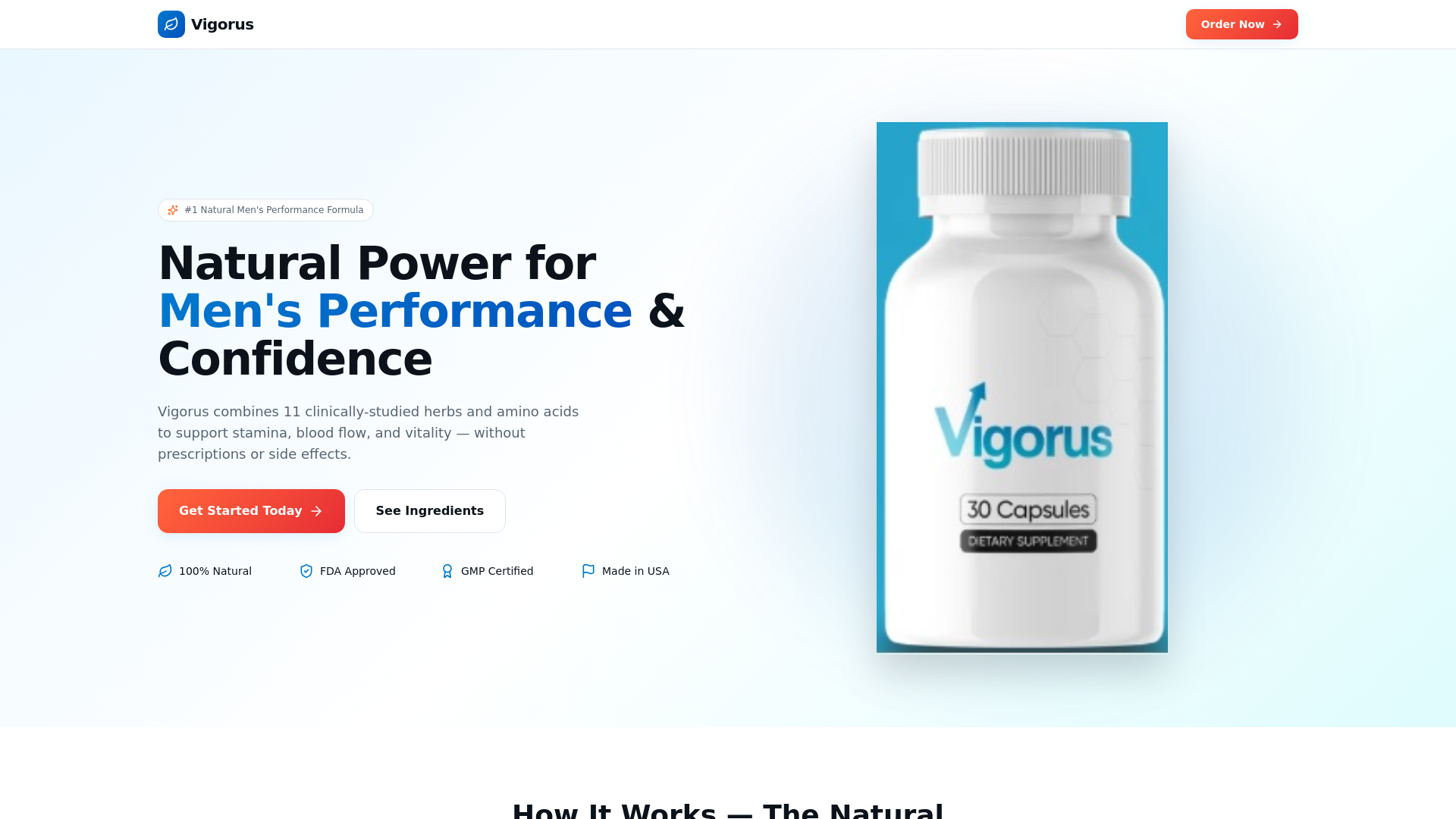 vigorususa.lovable.app