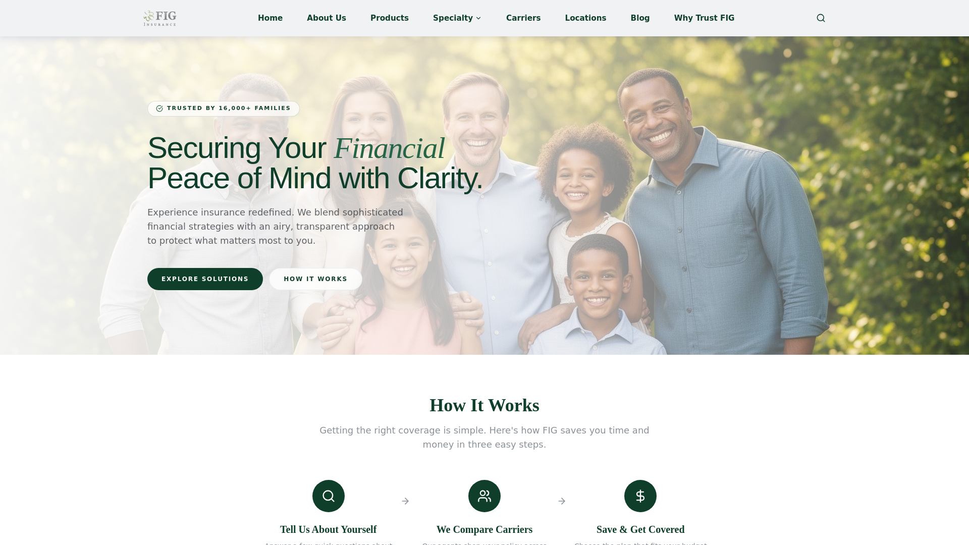 FIG Insurance cover