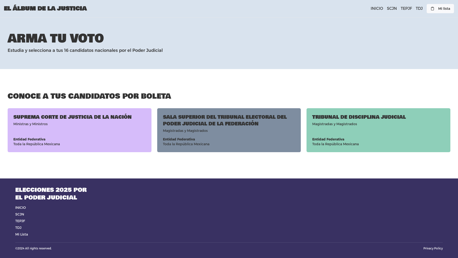 Professional Election & Voting Platform Platform