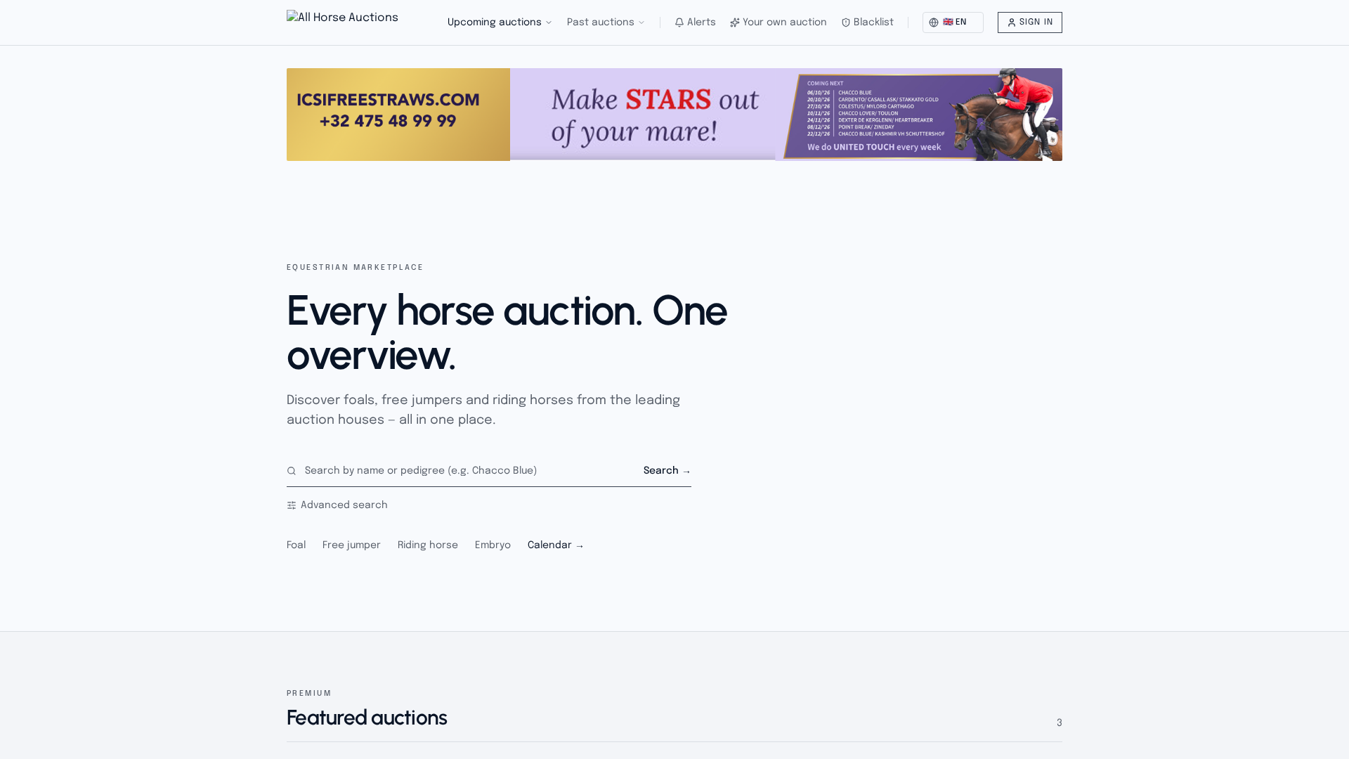 Past Horse Auctions Archive — Results & Sold Horses