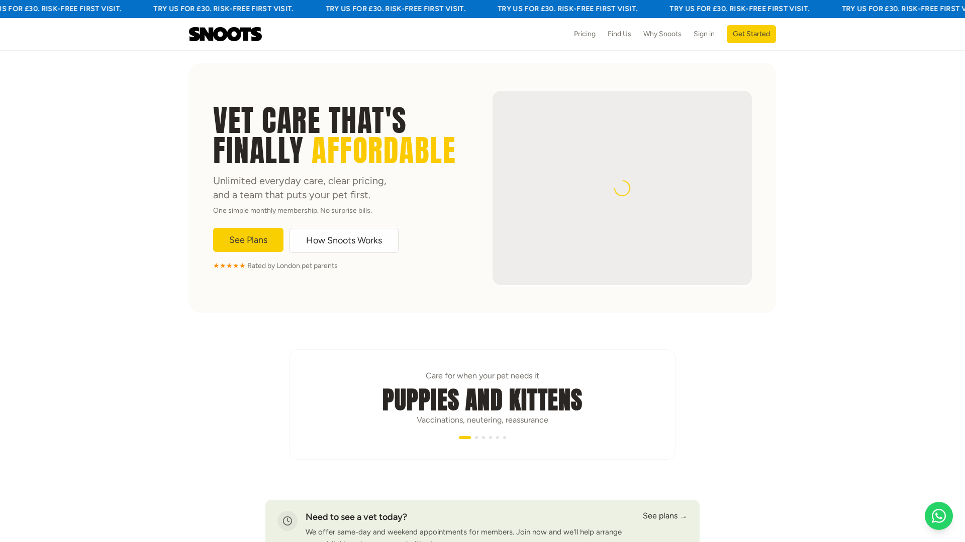 Snoots Vet, London Fields, vet in Hackney E8
