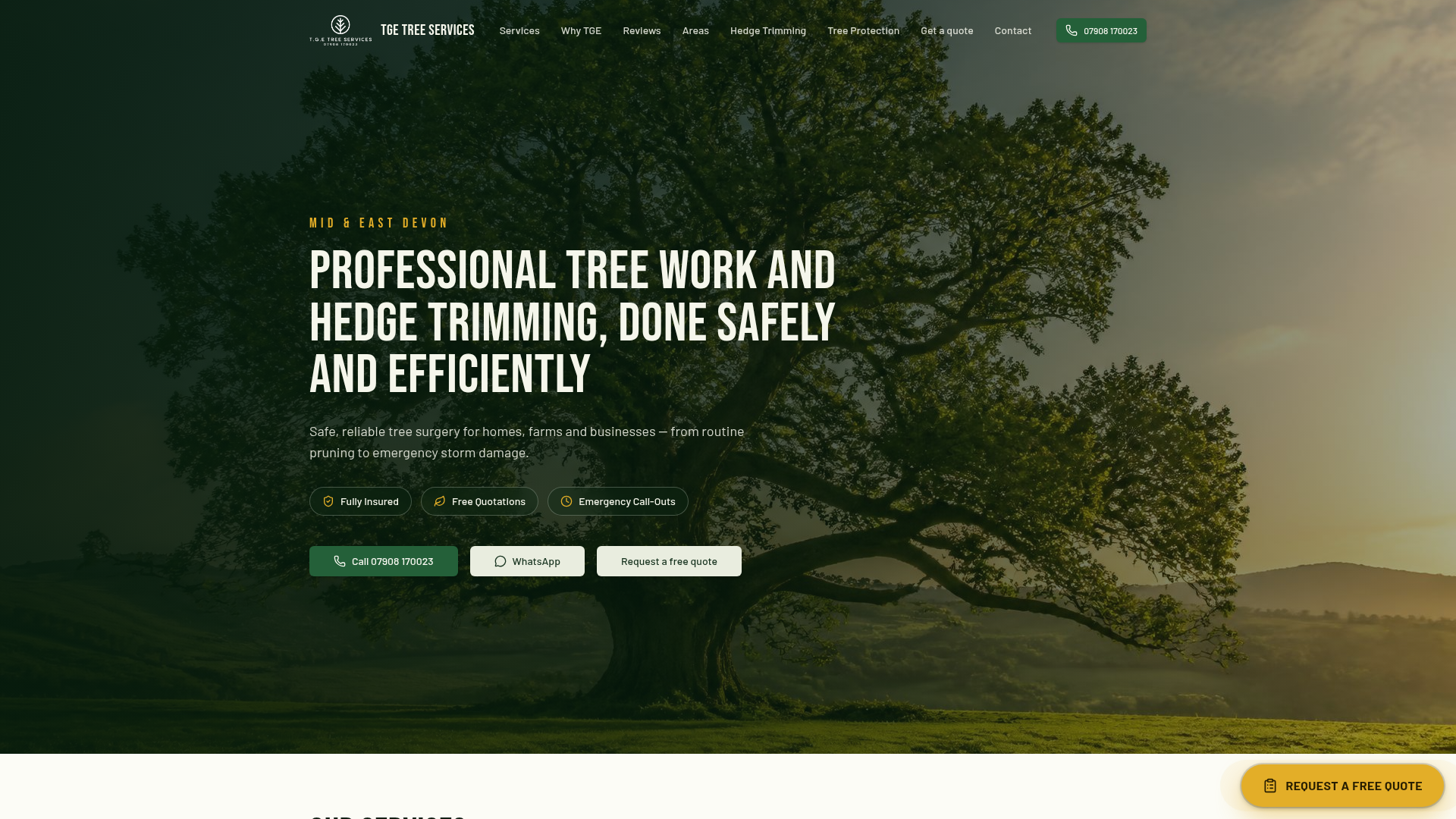 Fixed Tree Stand Pollarding & Hard Pruning in Devon | TGE Tree Services