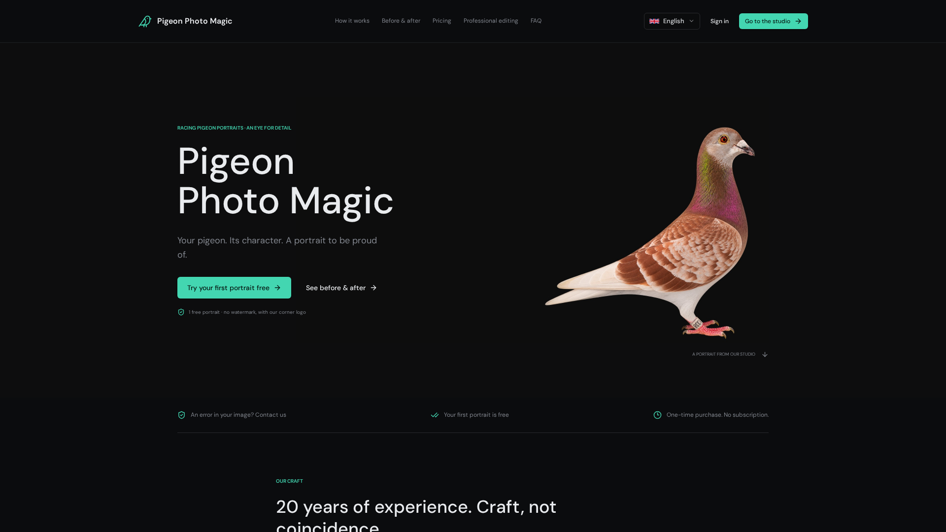 Expression Magic Professionelle brevdueportrætter — Pigeon Photo Magic