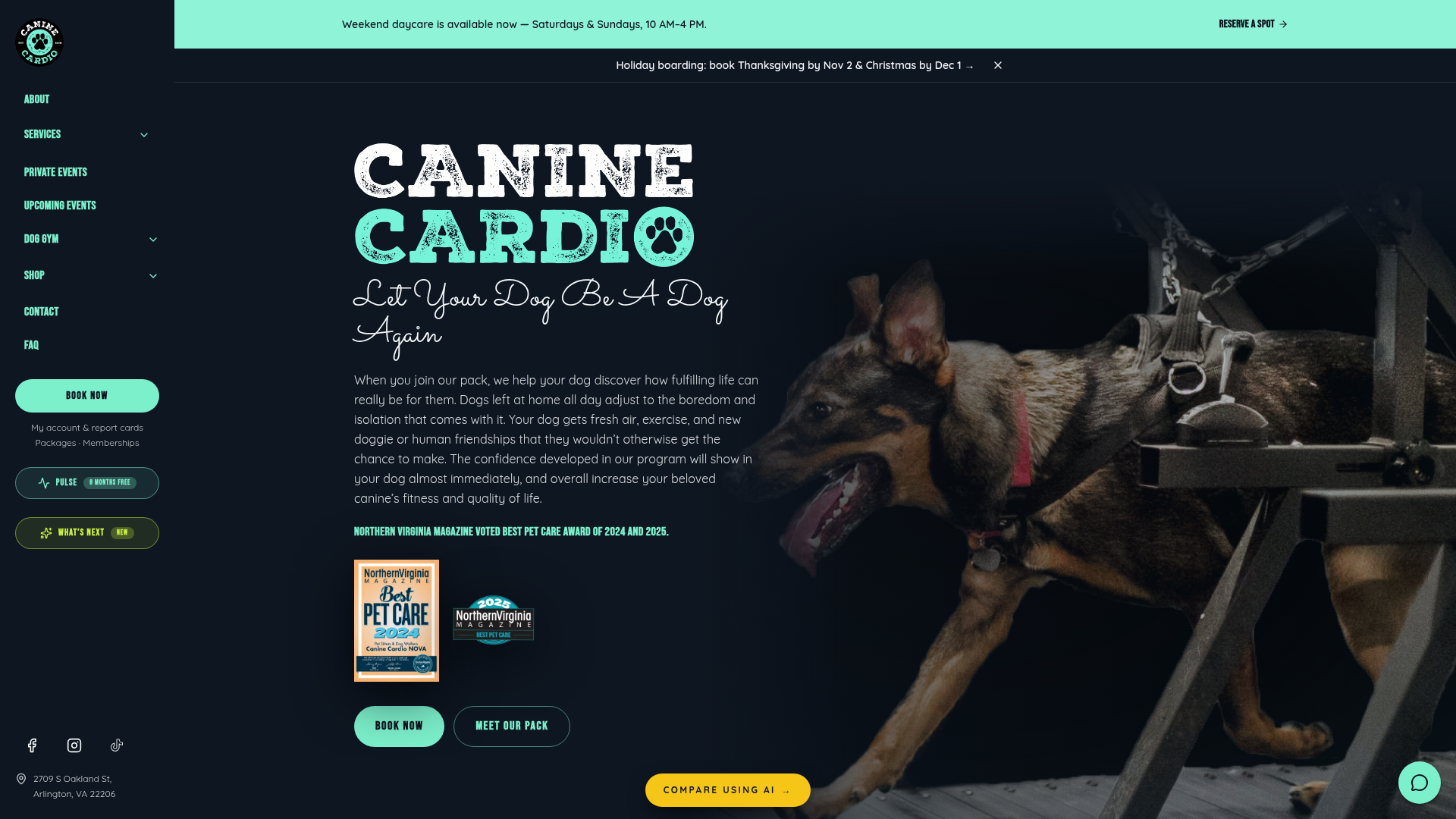 Canine Cardio - Image 1