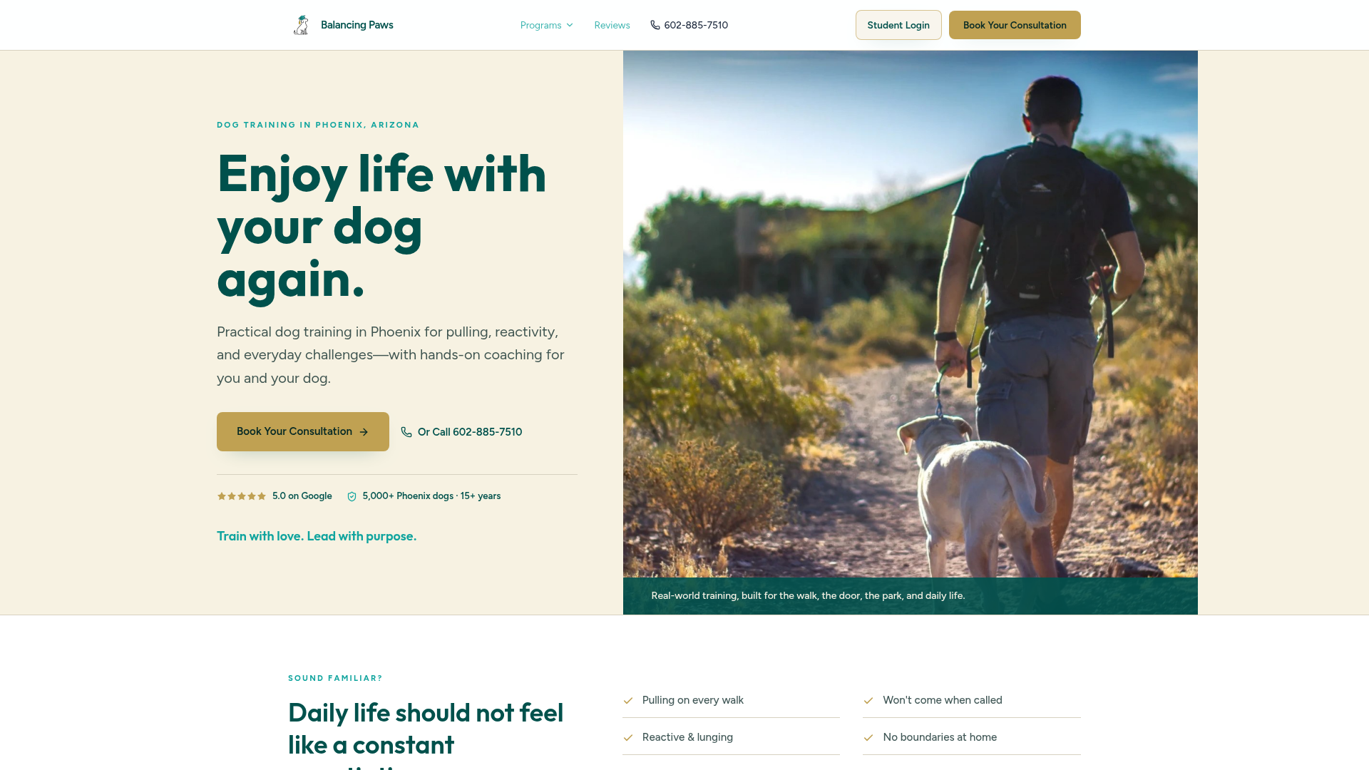 Balancing Paws Dog Training